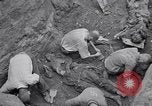 Image of Exhumation of Czech patriots Czechoslovakia, 1946, second 12 stock footage video 65675037198