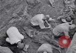 Image of Exhumation of Czech patriots Czechoslovakia, 1946, second 13 stock footage video 65675037198