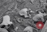 Image of Exhumation of Czech patriots Czechoslovakia, 1946, second 14 stock footage video 65675037198