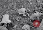 Image of Exhumation of Czech patriots Czechoslovakia, 1946, second 15 stock footage video 65675037198