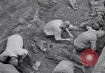 Image of Exhumation of Czech patriots Czechoslovakia, 1946, second 16 stock footage video 65675037198
