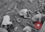 Image of Exhumation of Czech patriots Czechoslovakia, 1946, second 17 stock footage video 65675037198