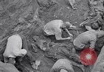 Image of Exhumation of Czech patriots Czechoslovakia, 1946, second 18 stock footage video 65675037198