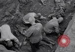 Image of Exhumation of Czech patriots Czechoslovakia, 1946, second 28 stock footage video 65675037198