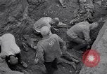 Image of Exhumation of Czech patriots Czechoslovakia, 1946, second 30 stock footage video 65675037198
