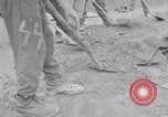 Image of Exhumation of Czech patriots Czechoslovakia, 1946, second 35 stock footage video 65675037198