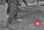 Image of Exhumation of Czech patriots Czechoslovakia, 1946, second 37 stock footage video 65675037198