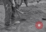 Image of Exhumation of Czech patriots Czechoslovakia, 1946, second 39 stock footage video 65675037198