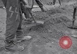 Image of Exhumation of Czech patriots Czechoslovakia, 1946, second 40 stock footage video 65675037198