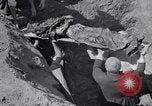 Image of Exhumation of Czech patriots Czechoslovakia, 1946, second 42 stock footage video 65675037198