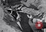Image of Exhumation of Czech patriots Czechoslovakia, 1946, second 43 stock footage video 65675037198