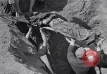 Image of Exhumation of Czech patriots Czechoslovakia, 1946, second 44 stock footage video 65675037198