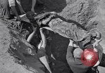 Image of Exhumation of Czech patriots Czechoslovakia, 1946, second 45 stock footage video 65675037198