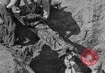 Image of Exhumation of Czech patriots Czechoslovakia, 1946, second 51 stock footage video 65675037198