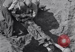 Image of Exhumation of Czech patriots Czechoslovakia, 1946, second 52 stock footage video 65675037198