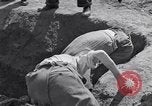 Image of Exhumation of Czech patriots Czechoslovakia, 1946, second 56 stock footage video 65675037198