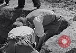 Image of Exhumation of Czech patriots Czechoslovakia, 1946, second 57 stock footage video 65675037198