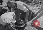 Image of Exhumation of Czech patriots Czechoslovakia, 1946, second 59 stock footage video 65675037198