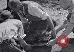 Image of Exhumation of Czech patriots Czechoslovakia, 1946, second 60 stock footage video 65675037198