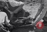Image of Exhumation of Czech patriots Czechoslovakia, 1946, second 61 stock footage video 65675037198