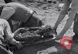 Image of Exhumation of Czech patriots Czechoslovakia, 1946, second 62 stock footage video 65675037198