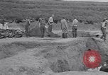 Image of Exhumation of Czech patriots Czechoslovakia, 1946, second 7 stock footage video 65675037199