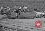 Image of Exhumation of Czech patriots Czechoslovakia, 1946, second 13 stock footage video 65675037199