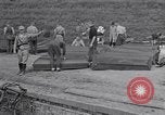 Image of Exhumation of Czech patriots Czechoslovakia, 1946, second 15 stock footage video 65675037199