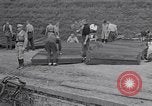 Image of Exhumation of Czech patriots Czechoslovakia, 1946, second 16 stock footage video 65675037199