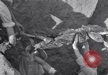 Image of Exhumation of Czech patriots Czechoslovakia, 1946, second 25 stock footage video 65675037199