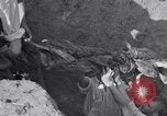 Image of Exhumation of Czech patriots Czechoslovakia, 1946, second 26 stock footage video 65675037199