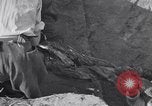 Image of Exhumation of Czech patriots Czechoslovakia, 1946, second 27 stock footage video 65675037199