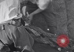Image of Exhumation of Czech patriots Czechoslovakia, 1946, second 28 stock footage video 65675037199