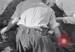 Image of Exhumation of Czech patriots Czechoslovakia, 1946, second 29 stock footage video 65675037199