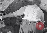 Image of Exhumation of Czech patriots Czechoslovakia, 1946, second 30 stock footage video 65675037199