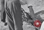 Image of Exhumation of Czech patriots Czechoslovakia, 1946, second 32 stock footage video 65675037199