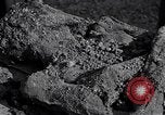 Image of Exhumation of Czech patriots Czechoslovakia, 1946, second 35 stock footage video 65675037199
