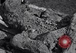 Image of Exhumation of Czech patriots Czechoslovakia, 1946, second 37 stock footage video 65675037199
