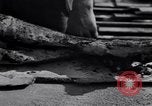 Image of Exhumation of Czech patriots Czechoslovakia, 1946, second 38 stock footage video 65675037199