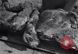 Image of Exhumation of Czech patriots Czechoslovakia, 1946, second 41 stock footage video 65675037199