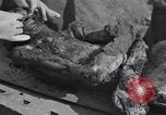 Image of Exhumation of Czech patriots Czechoslovakia, 1946, second 42 stock footage video 65675037199