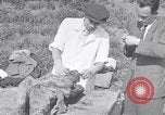 Image of Exhumation of Czech patriots Czechoslovakia, 1946, second 44 stock footage video 65675037199