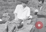 Image of Exhumation of Czech patriots Czechoslovakia, 1946, second 45 stock footage video 65675037199