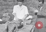 Image of Exhumation of Czech patriots Czechoslovakia, 1946, second 46 stock footage video 65675037199