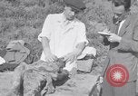Image of Exhumation of Czech patriots Czechoslovakia, 1946, second 48 stock footage video 65675037199