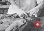 Image of Exhumation of Czech patriots Czechoslovakia, 1946, second 50 stock footage video 65675037199