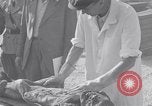 Image of Exhumation of Czech patriots Czechoslovakia, 1946, second 53 stock footage video 65675037199
