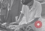 Image of Exhumation of Czech patriots Czechoslovakia, 1946, second 54 stock footage video 65675037199