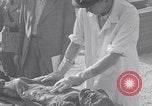 Image of Exhumation of Czech patriots Czechoslovakia, 1946, second 55 stock footage video 65675037199