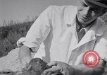Image of Exhumation of Czech patriots Czechoslovakia, 1946, second 58 stock footage video 65675037199